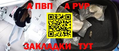 стафф Будённовск