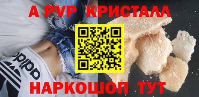 стафф Будённовск