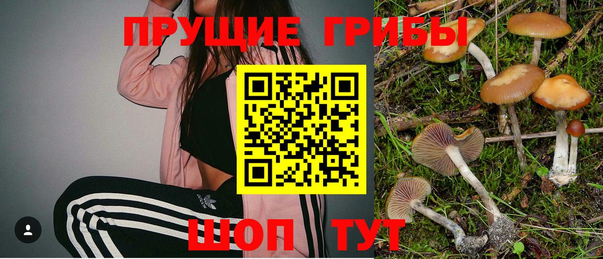 Псилоцибиновые грибы GOLDEN TEACHER  Вход с VPN  Котельники 